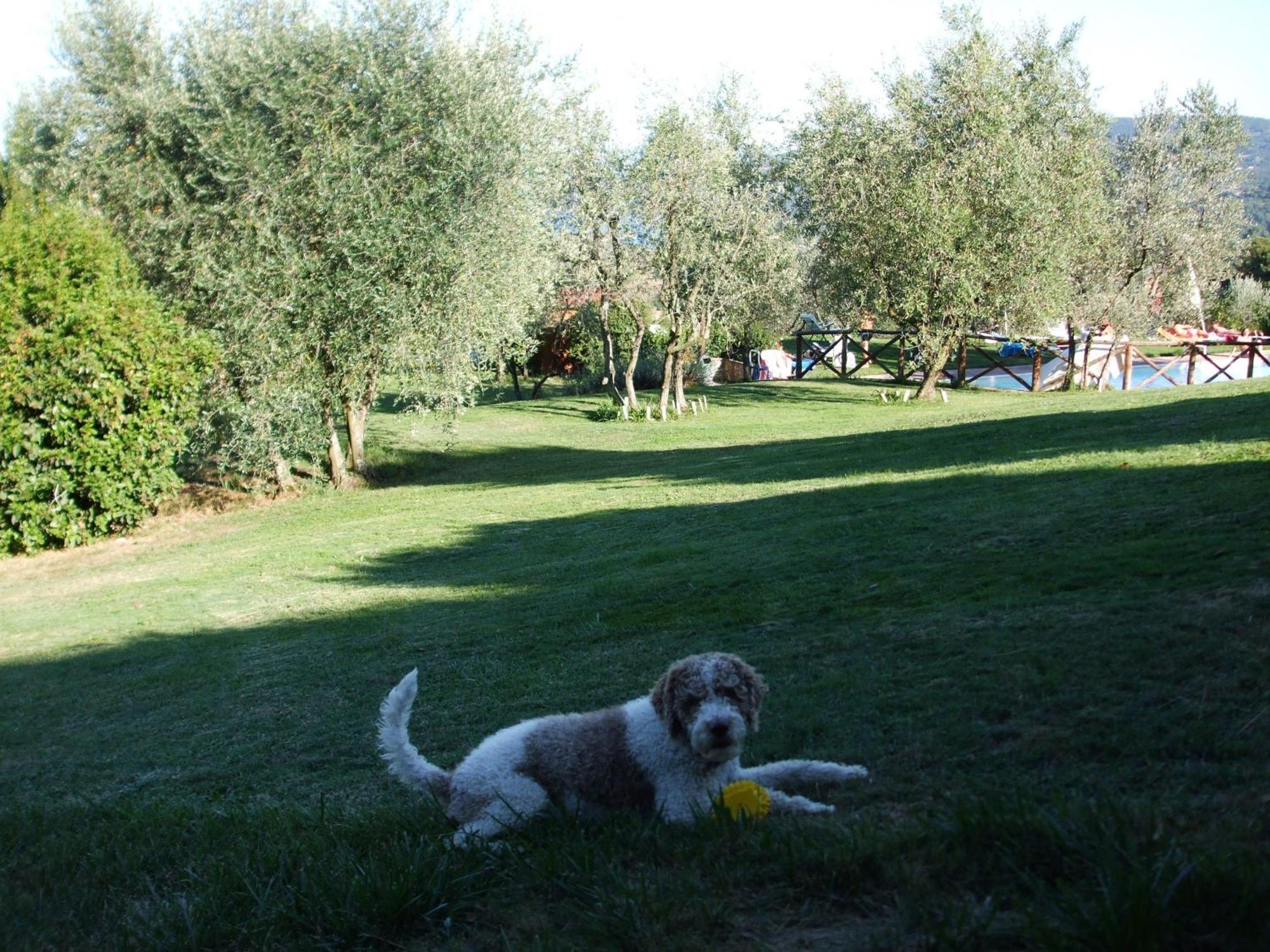 Poggio Agli Ulivi Villa Barberino di Mugello Exterior photo